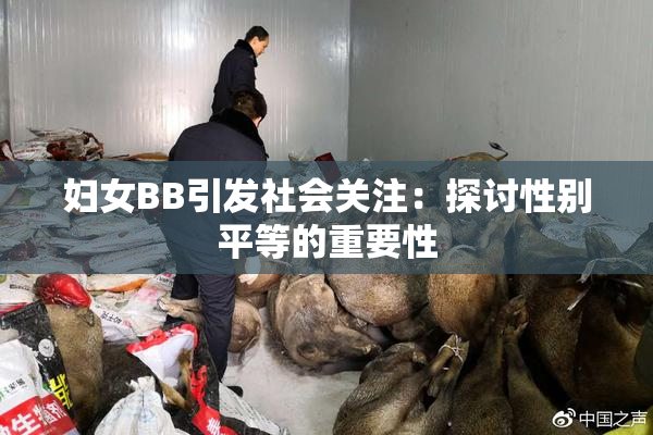 妇女BB引发社会关注：探讨性别平等的重要性