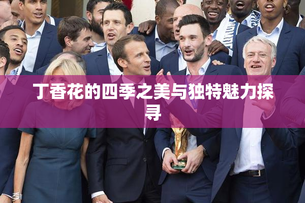 丁香花的四季之美与独特魅力探寻