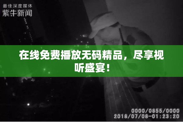 在线免费播放无码精品，尽享视听盛宴！
