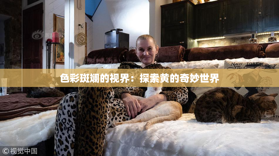 色彩斑斓的视界：探索黄的奇妙世界