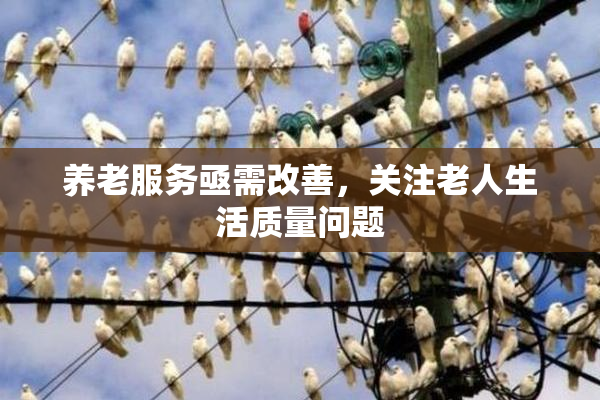 养老服务亟需改善，关注老人生活质量问题