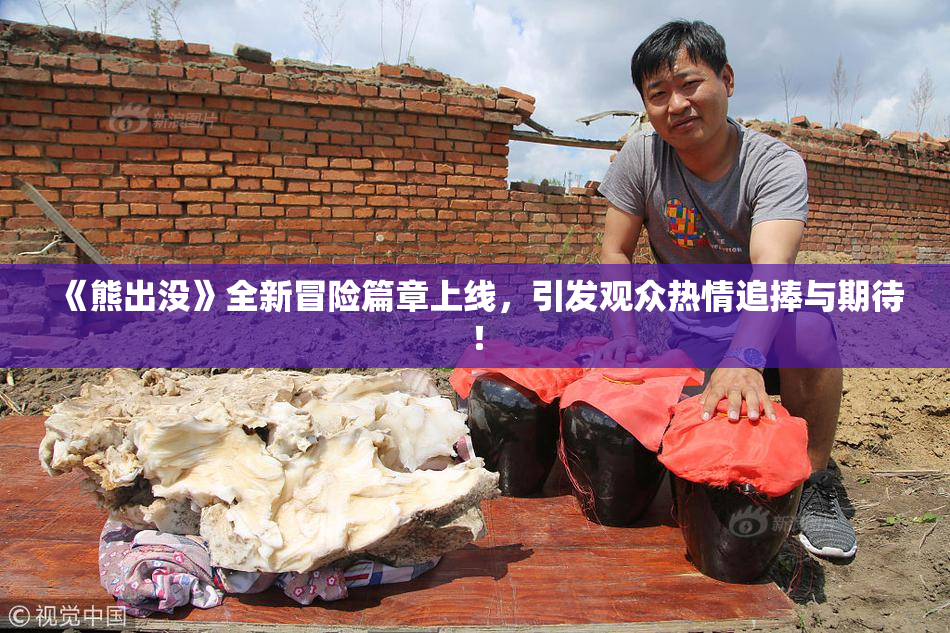 《熊出没》全新冒险篇章上线，引发观众热情追捧与期待！