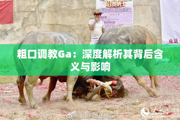 粗口调教Ga：深度解析其背后含义与影响