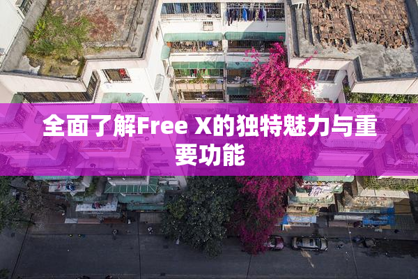 全面了解Free X的独特魅力与重要功能