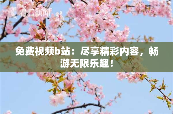 免费视频b站：尽享精彩内容，畅游无限乐趣！