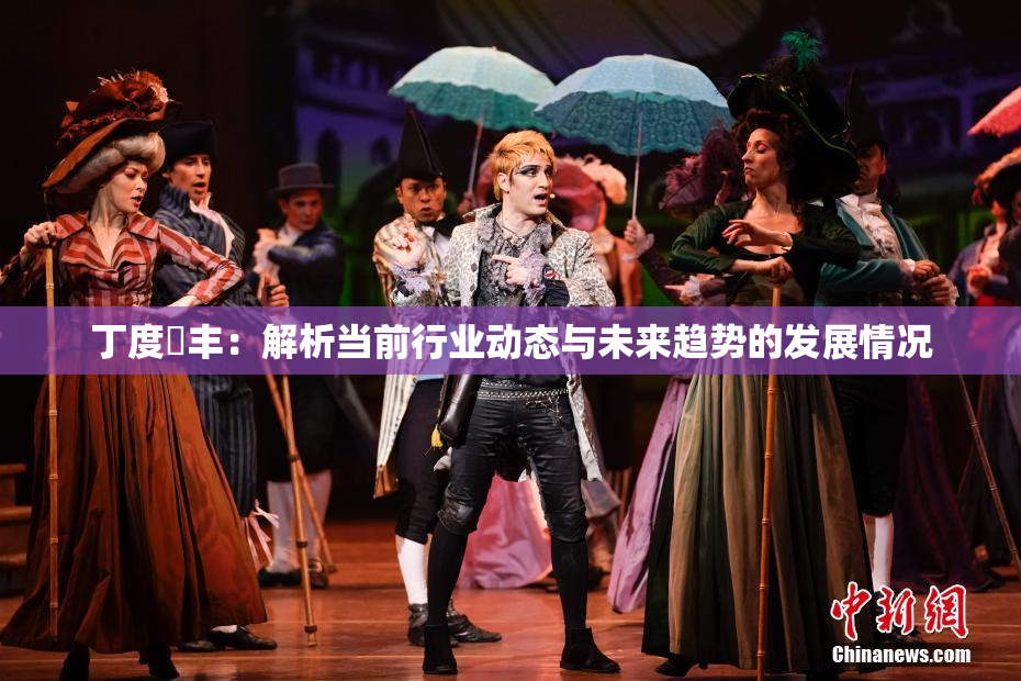丁度巜丰：解析当前行业动态与未来趋势的发展情况