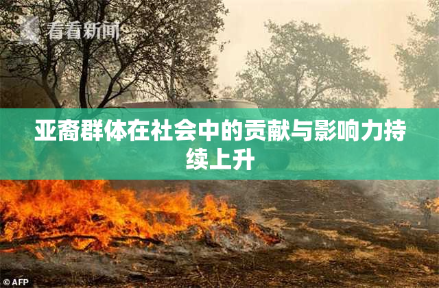 亚裔群体在社会中的贡献与影响力持续上升
