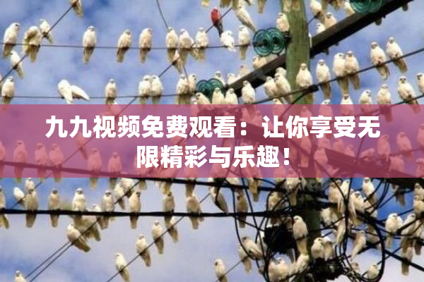 九九视频免费观看：让你享受无限精彩与乐趣！