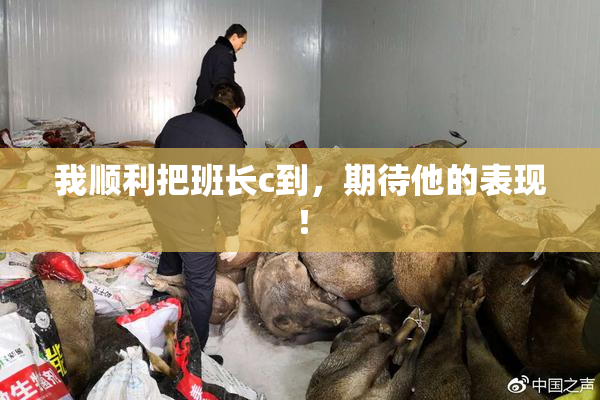 我顺利把班长c到，期待他的表现！
