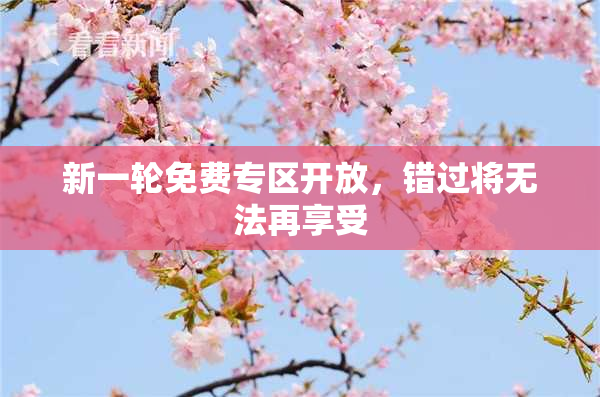 新一轮免费专区开放，错过将无法再享受