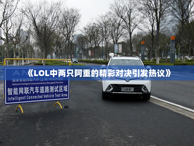 《LOL中两只阿重的精彩对决引发热议》