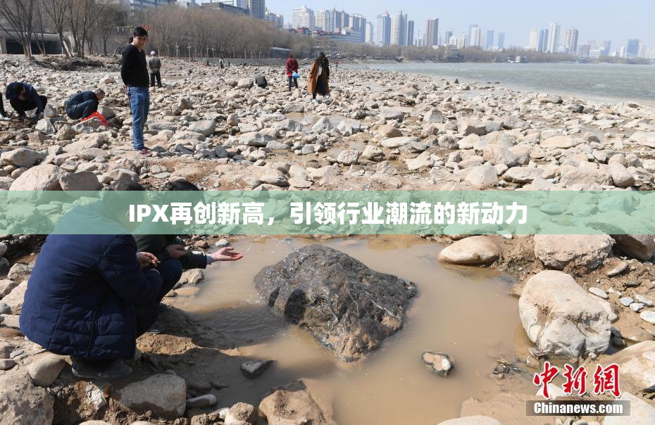 IPX再创新高，引领行业潮流的新动力