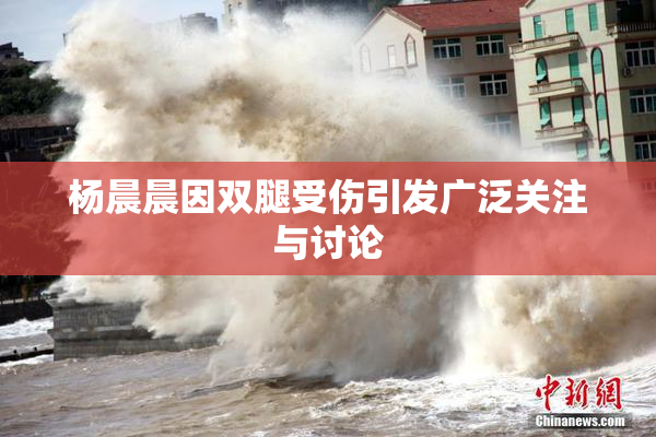 杨晨晨因双腿受伤引发广泛关注与讨论