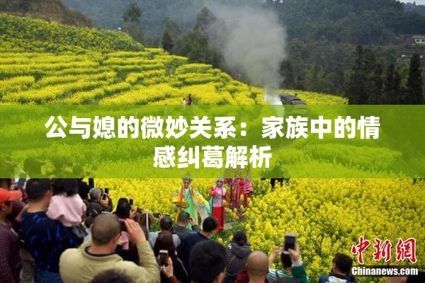 公与媳的微妙关系：家族中的情感纠葛解析