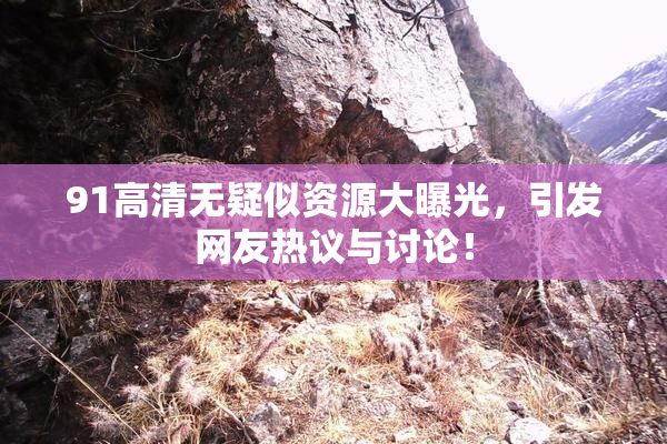 91高清无疑似资源大曝光，引发网友热议与讨论！