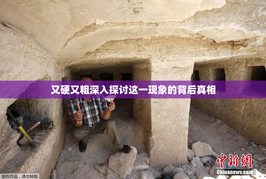 又硬又粗深入探讨这一现象的背后真相