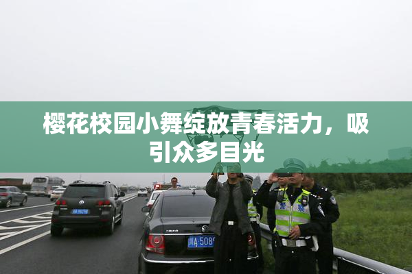 樱花校园小舞绽放青春活力，吸引众多目光