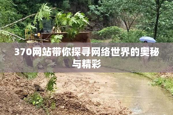 370网站带你探寻网络世界的奥秘与精彩