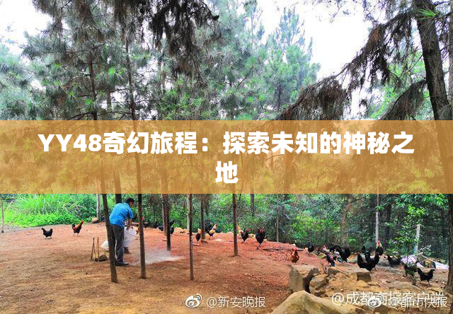 YY48奇幻旅程：探索未知的神秘之地