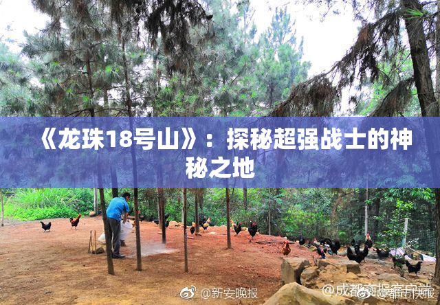 《龙珠18号山》：探秘超强战士的神秘之地