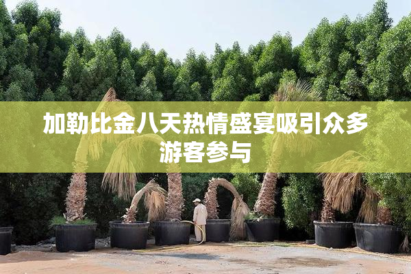 加勒比金八天热情盛宴吸引众多游客参与