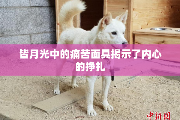 皆月光中的痛苦面具揭示了内心的挣扎