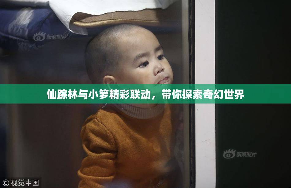仙踪林与小箩精彩联动，带你探索奇幻世界