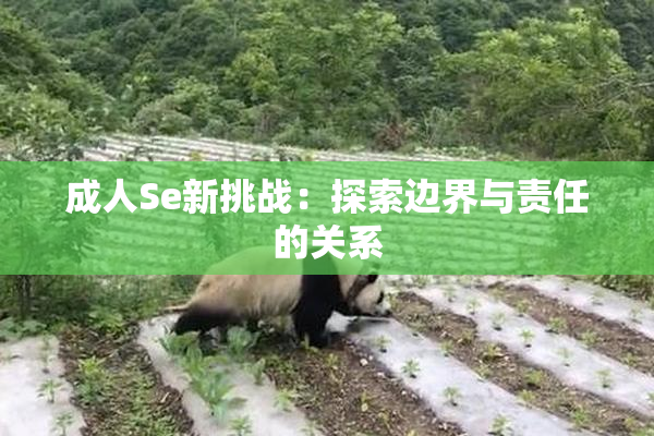 成人Se新挑战：探索边界与责任的关系