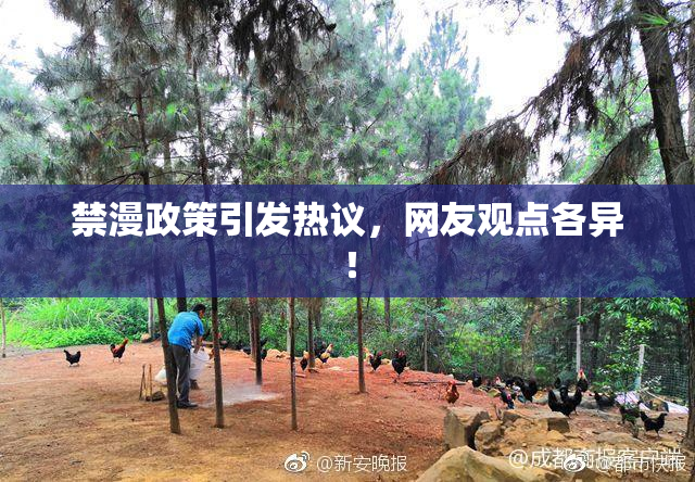 禁漫政策引发热议，网友观点各异！