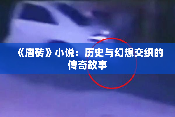 《唐砖》小说：历史与幻想交织的传奇故事
