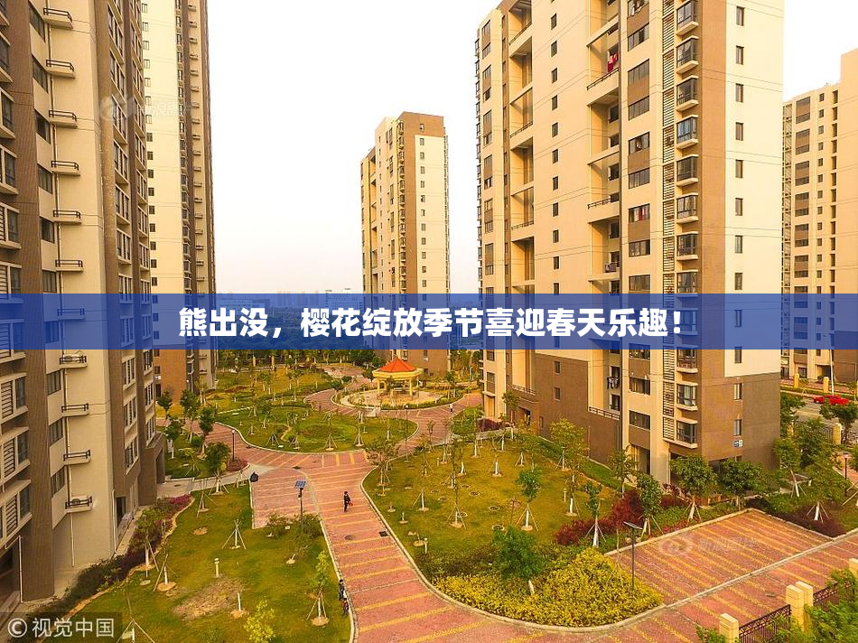 熊出没，樱花绽放季节喜迎春天乐趣！