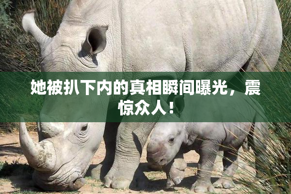 她被扒下内的真相瞬间曝光，震惊众人！