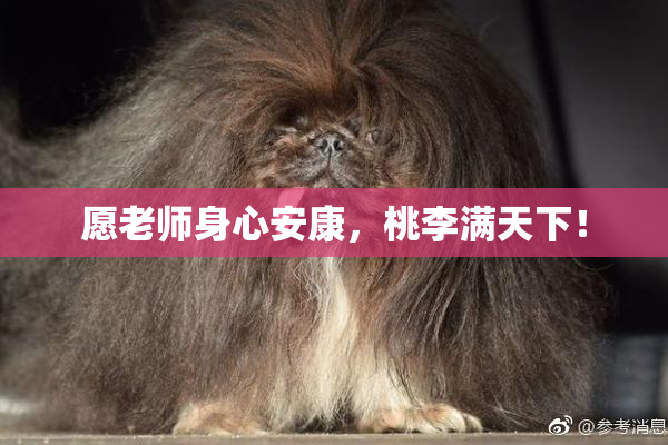 愿老师身心安康，桃李满天下！