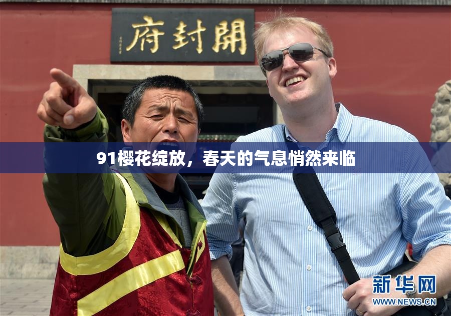 91樱花绽放，春天的气息悄然来临