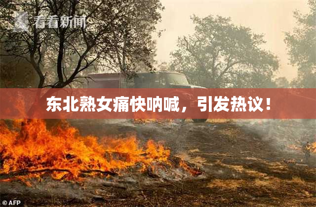 东北熟女痛快呐喊，引发热议！