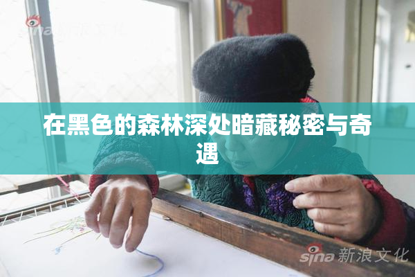 在黑色的森林深处暗藏秘密与奇遇