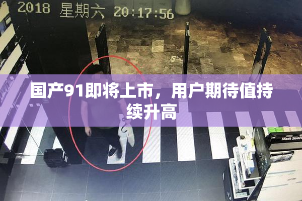 国产91即将上市，用户期待值持续升高
