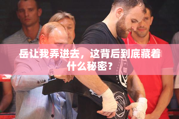 岳让我弄进去，这背后到底藏着什么秘密？