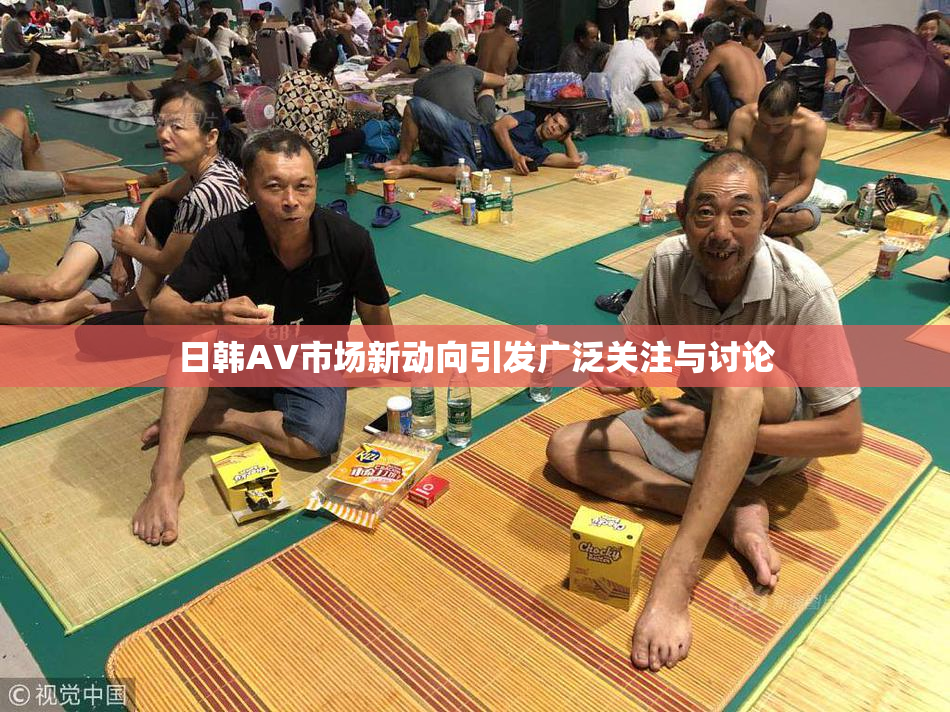 日韩AV市场新动向引发广泛关注与讨论