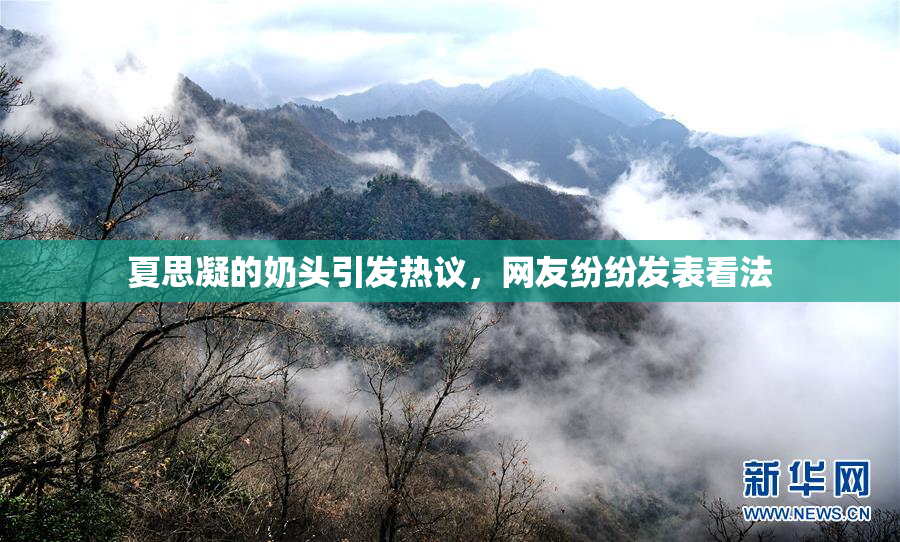 夏思凝的奶头引发热议，网友纷纷发表看法