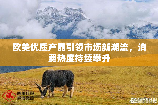 欧美优质产品引领市场新潮流，消费热度持续攀升