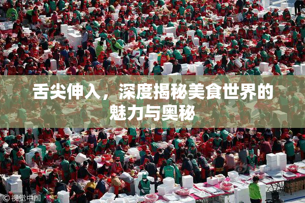 舌尖伸入，深度揭秘美食世界的魅力与奥秘