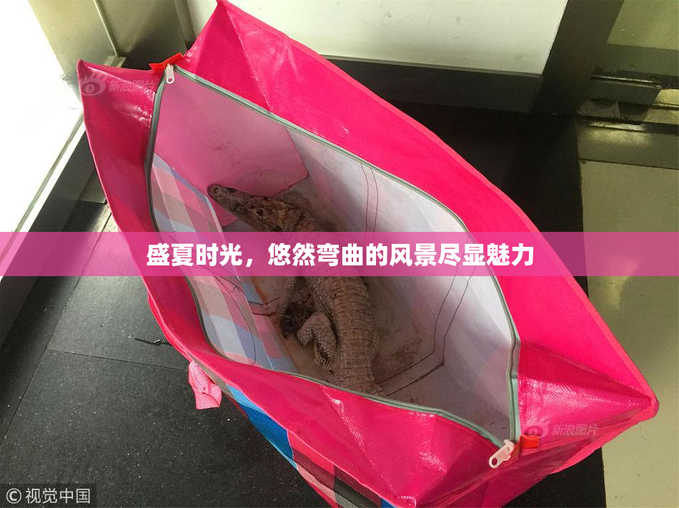 盛夏时光，悠然弯曲的风景尽显魅力