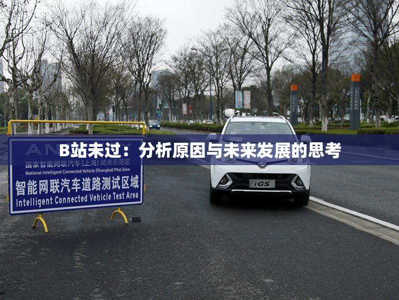 B站未过：分析原因与未来发展的思考