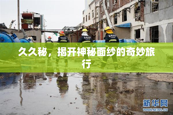 久久秘，揭开神秘面纱的奇妙旅行