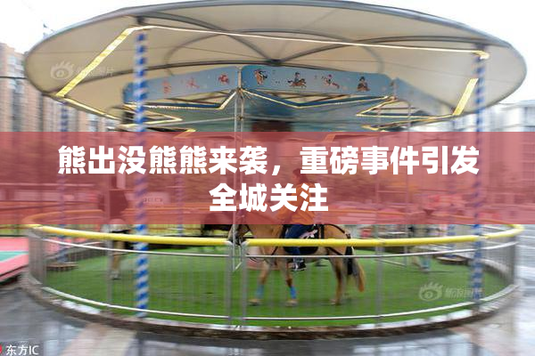 熊出没熊熊来袭，重磅事件引发全城关注