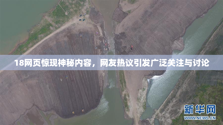 18网页惊现神秘内容，网友热议引发广泛关注与讨论