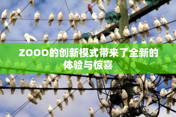 ZOOO的创新模式带来了全新的体验与惊喜