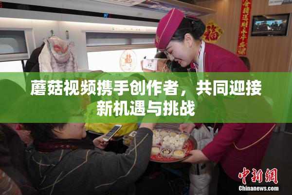 蘑菇视频携手创作者，共同迎接新机遇与挑战