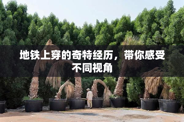 地铁上穿的奇特经历，带你感受不同视角